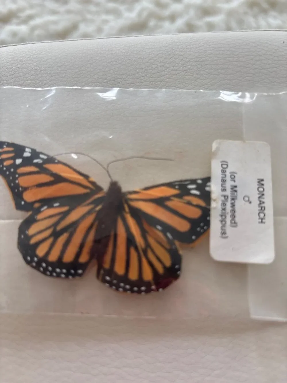 Vintage Butterfly Lot 14 Assorted Decorative Feather Butterflies Moths Monarch
